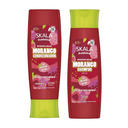 WhatsApp Image 2026-04-10 at 16.32.44 (1).webp